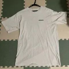 Patagonia パタゴニア 半袖 Tシャツ ホワイト