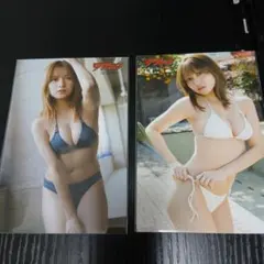 Item thumbnail for item 8730f3f6-d0da-4c58-bf2e-dbb4306f668d