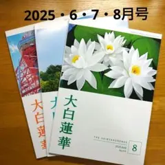 2025年最新】大白蓮華7月号の人気アイテム - メルカリ