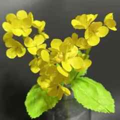 Kota様 リクエスト 2点 まとめ商品