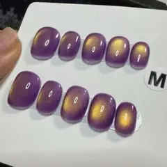 【セツ】マグネット　ネイルチップ　付け爪(A1477)
