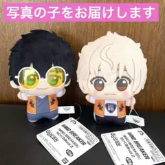 WIND BREAKER ちびぐるみ 兎耳山丁子 十亀条 2種セット
