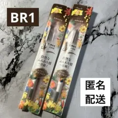 パラドゥ アイブロウペンシルN BR1 0.15g 2本セットです。のサムネイル
