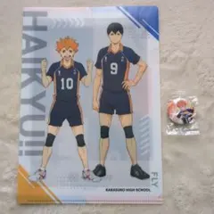 ハイキュー!! 缶バッチ・クリアファイルセット