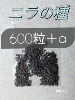 32 ♥ 부추 ☆ 씨앗 ♥ 야채 ☆ 잎이 많은 식물 ☆ 잎 ☆ 재배 ☆ 채소밭 ☆ 화단 ☆ 원예 ☆ 정원 밭 농업 농가 ☆ ☆ ☆ ☆