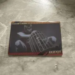 HAIKYU!! KARASUNO vs NEKOMA カード