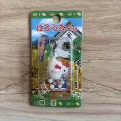 レア ご当地キティ ハローキティ 草津温泉バージョン ファスナー