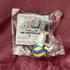 【新品未使用タグ付】ハイキュー　プチッとのりマスvol.3　岩泉一
