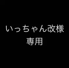 いっちゃん改様専用（ガンプラ製作代行オーダーメイド）