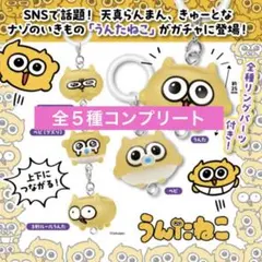 2026年最新】うんたねこの人気アイテム - メルカリ