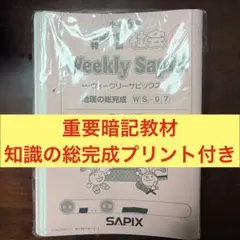 2026年最新】サピックス 社会 知識の総完成の人気アイテム - メルカリ