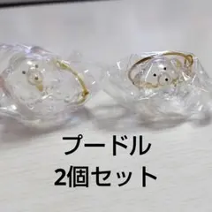 うちの子のけだまだまチャーム　犬　プードル