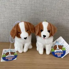 コーイケルホンディエのおでこちゃん　おすわり　VMC　2個セット