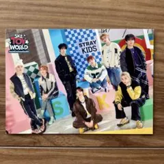 ★匿名配送★ straykids スキズ ペンミ ラントレ 【集合 オール】