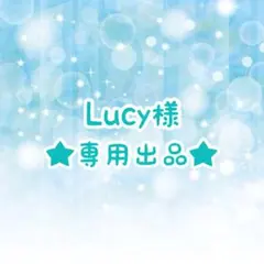 Lucy様 リクエスト 2点 まとめ商品