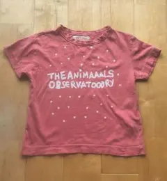 THE ANIMALS OBSERVATORY Tシャツ 4y