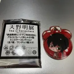 家庭教師ヒットマンREBORN 天野明展 アルコバレーノ おしゃぶり ファン