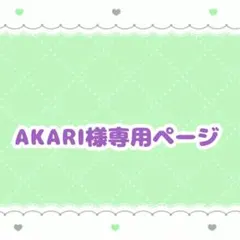 AKARI様専用ページ【6/20までに到着】