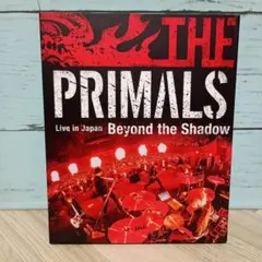 Item thumbnail for item e48e93b8-9d31-43f9-acd3-478c39b8d45d