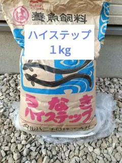国産万能練り餌 うなぎ ハイジャンプ 1キロ - メルカリ