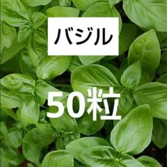 黒紫の葉が美しい☆観賞用にも人気のバジル 30粒 固定種 - メルカリ