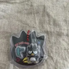 パッケージチャーム サンリオ