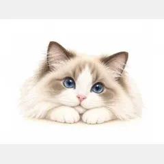 ちょこんとかわいい猫さん♡オリジナルイラスト