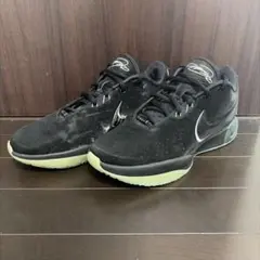Nike LeBron 21 EP 27.5cm レブロン 21