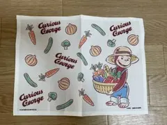 Item thumbnail for item 088cb272-ab42-4edb-a497-0516434ef606