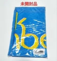 Item thumbnail for item dad14c7d-6136-4318-be6b-6c2ce93817a4