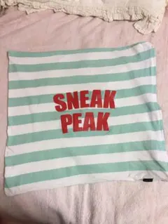 Item thumbnail for item fa926a69-e97c-411a-bba7-548af44b256b