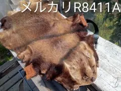 2026年最新】アナグマ毛皮の人気アイテム - メルカリ