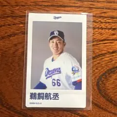 中日ドラゴンズ 鵜飼航丞 推しチェキ