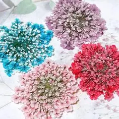 押し花素材＊レースフラワー　大サイズ16