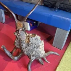 Item thumbnail for item c7d6afc5-7509-4ca0-845a-0b64c837022f