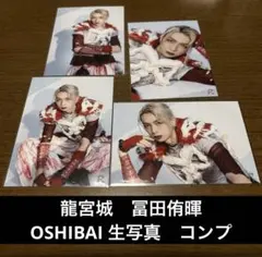 2025年最新】龍宮城の人気アイテム - メルカリ