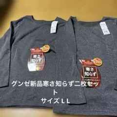 新品GUNZE HOTMAGIC 裏起毛 LLサイズ 2枚セット定価3300円