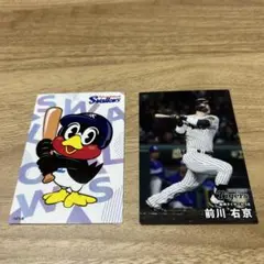 ヤクルトスワローズ＆阪神タイガースプロ野球チップス