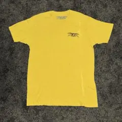 送料込 ANTI HERO フェードTシャツ L ベルベルジン fjのサムネイル