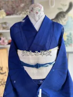 洗える着物 夏用 絽 訪問着 身丈 裄 着物 061b - メルカリ