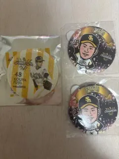 藤井皓哉 若鷹ガチャ まとめ売り