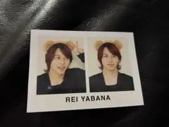 7MEN侍 矢花黎 デタカ