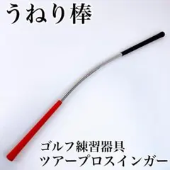 2026年最新】ツアープロスインガーの人気アイテム - メルカリ
