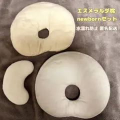 Item thumbnail for item 228d5f35-0bc6-4b9c-8e48-1df48700c46a