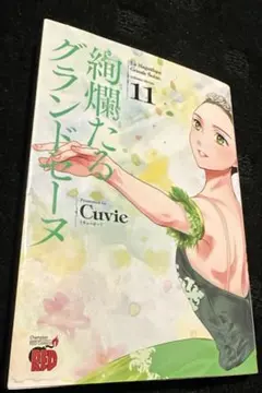 絢爛たるグランドセーヌ 11