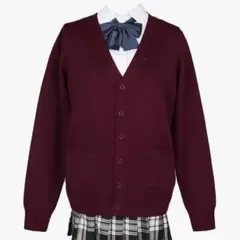 バーガンディ Vネック カーディガン 学生服