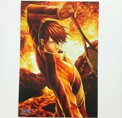 新テニスの王子様 46巻 特典 ポストカード 許斐剛 メロンブックス