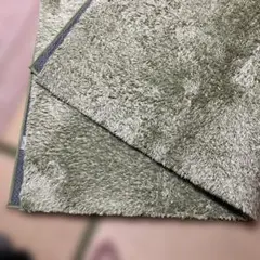 カーペットのサムネイル