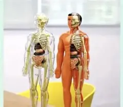 Item thumbnail for item 955bf9e0-07e4-424a-8295-38395cb894e1