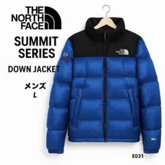 y*y様 THE NORTH FACE サミットシリーズ 800 韓国限定